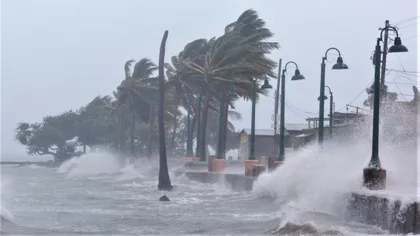 Ce să știi, pe scurt, despre uraganele Irma și Harvey care au lovit SUA