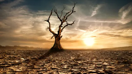 Următoarea extincție planetară ar putea sosi în doar câteva zeci de ani