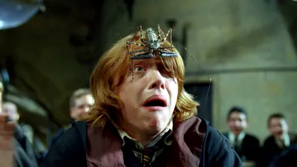 De unde vine teama de păianjeni, șerpi și alte animale