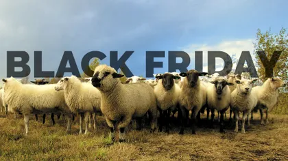 Black Friday 2017: de la eMAG la Altex, ce magazine preferă românii