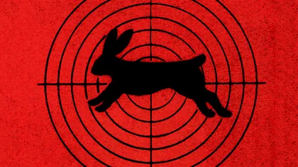 Bad Rabbit: un nou ransomware periculos face victime în masă