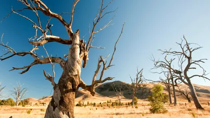 Satelitul lui Saturn ar putea explica schimbările climatice de pe Pământ