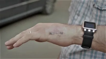 Festivalul la care se intră cu cip, nu cu bilet