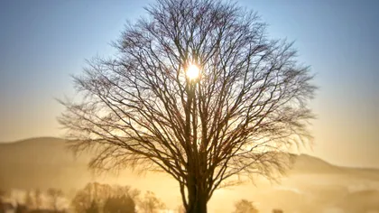 Solstițiul de iarnă 2017: tot ce să știi despre cea mai scurtă zi din an