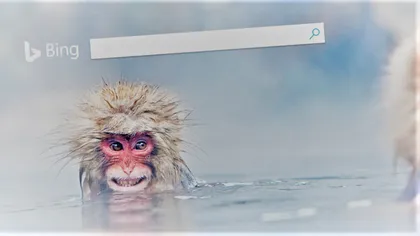 Microsoft crede că se descurcă mai bine decât Google să te informeze