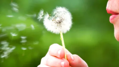 Metoda prin care alergiile pot fi tratate înainte să apară