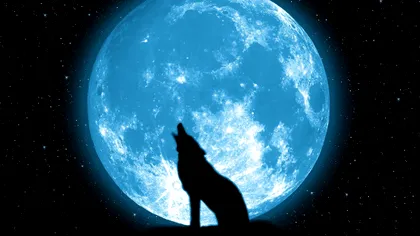 Cantitatea uriașă de apă de pe Lună va ajuta omenirea în viitorul apropiat