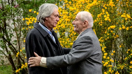 Filmele românești au avut un 2017 mai prost decât al tău