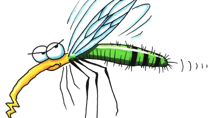 Salvare pentru vară: poți să 