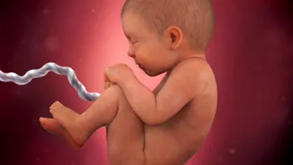 Demers extraordinar în medicină: bebeluși operați înainte să se nască