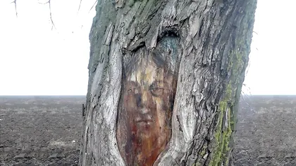 De ce Iisus, Arsenie Boca și alții le tot apar românilor în copaci, pietre și alte locuri