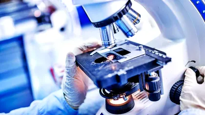 Cel mai avansat microscop surprinde 3D mișcările din celule