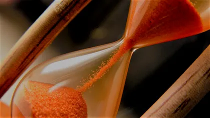 Cum îți influențează numărul de neuroni durata de viață