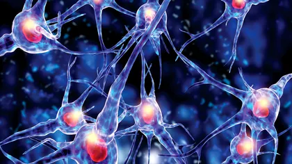 Neutralizarea genei asociate cu Alzheimer poate duce la un tratament