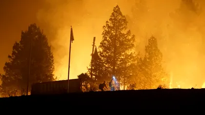 Filmele ingenioase care îți arată că încălzirea globală e reală