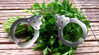 Comentariile internetului după ce Poliția a 