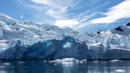 Temperatură record în Antarctica: cât de grave sunt efectele schimbărilor climatice