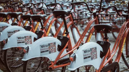 Pegas, brandul românesc de biciclete, dat în judecată: ce acuză germanii care au Pegasus