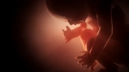 40 de ani de la nașterea primului copil conceput în eprubetă