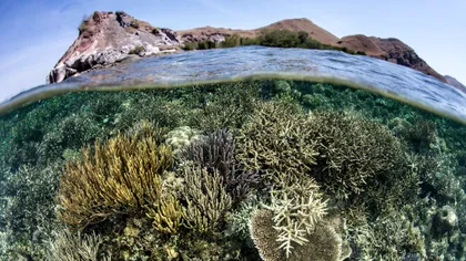 Loțiunea ta de plajă distruge apele cât timp tu vrei bronzul acela bun