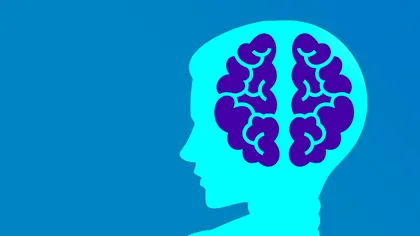 Cum poți să înveți mai repede lucruri fără să devină o corvoadă