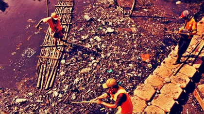 Cel mai nou motiv pentru care ar trebui să renunțăm la plastic