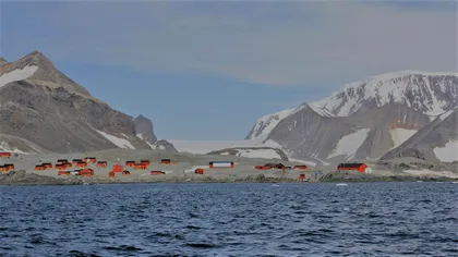 Ce se întâmplă când cineva e ucis în Antarctica