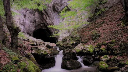 Comoara din România dezvăluie detalii cruciale despre activitățile vechi