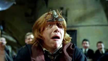 Cum o să-ți învingi teama de păianjeni cu această descoperire