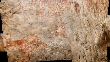 Unde au fost făcute cele mai vechi desene cu animale din lume
