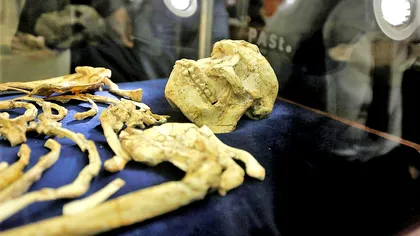 S-a descoperit o nouă subspecie de om care schimbă ce credeai despre originea omului