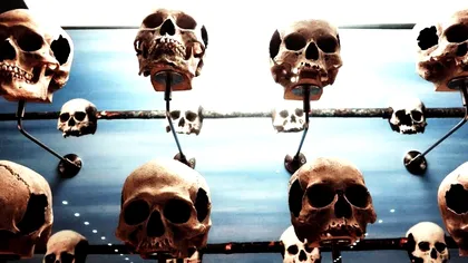 Ce au în comun cele mai mari amenințări ale omenirii din prezent