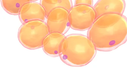 Această formă de cancer ar putea fi vindecată cu un tratament revoluționar