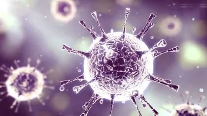 Primele rezultate ale studiului care va dura 500 de ani