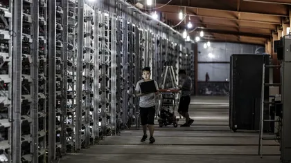 În China, la fiecare patru zile, un startup devine unicorn