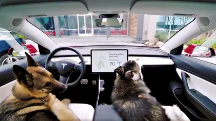 Tehnologia Tesla care poate salva vieți ar trebui să fie pe toate mașinile
