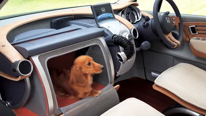 Honda a creat cândva o mașină cu locuri speciale pentru căței și era bestială
