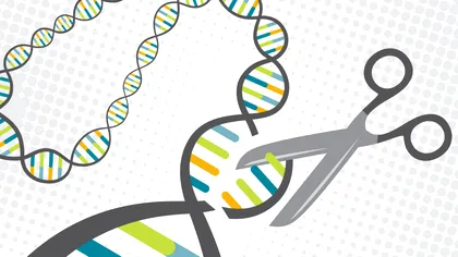 Noul experiment cu bebeluși modificați genetic - de data asta mai etic