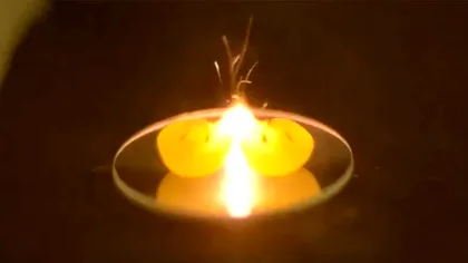 Cum poți face plasmă la tine acasă cu un bob de strugure