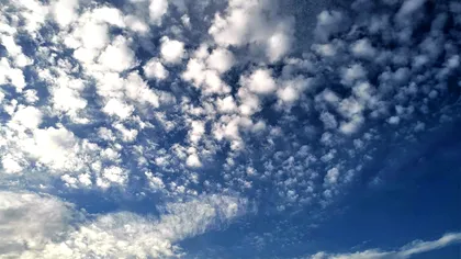 Ce s-ar întâmpla dacă Pământul ar rămâne fără oxigen pentru 5 secunde