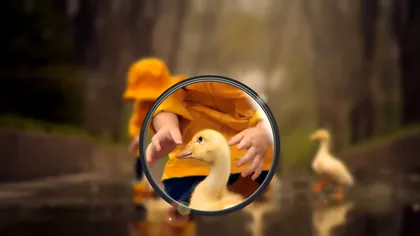 Huawei ”te-a furat la cântar”, din nou: imaginile mincinoase pentru promovarea Huawei P30