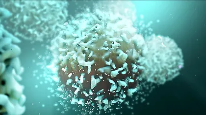 Vaccinul împotriva cancerului învață organismul să distrugă tumorile