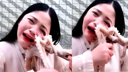 A vrut să fie vedetă online, dar a speriat internetul: ce vină a avut caracatița