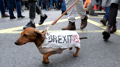 Evenimentul viral de pe Facebook prin care ai loc în față să vezi Brexit