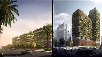 Pădurea verticală din oraș ar putea rezolva problema poluării