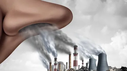 Poluarea aerului îți afectează inteligența și nici nu contează cât crezi în încălzirea globală