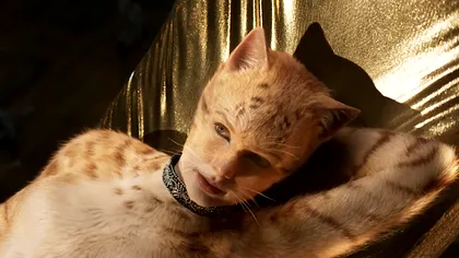 Debutul dezastruos al Cats arată că și tehnologia CGI poate eșua lamentabil
