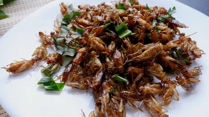 Dieta din 2050, complet diferită de cea de acum: ce vom mânca din cauza exploziei populației