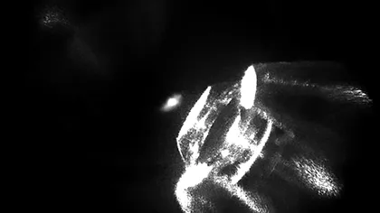 Revoluția din fizica cuantică stă într-un singur atom suspendat: cum au reușit performanța