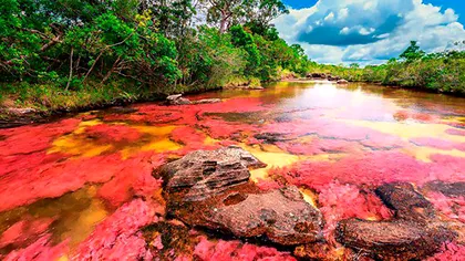 Râul curcubeu îți taie respirație și nu este poluat: cum sunt posibile culorile fantastice